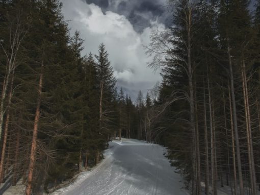 Défi Ski Chelsea 2020