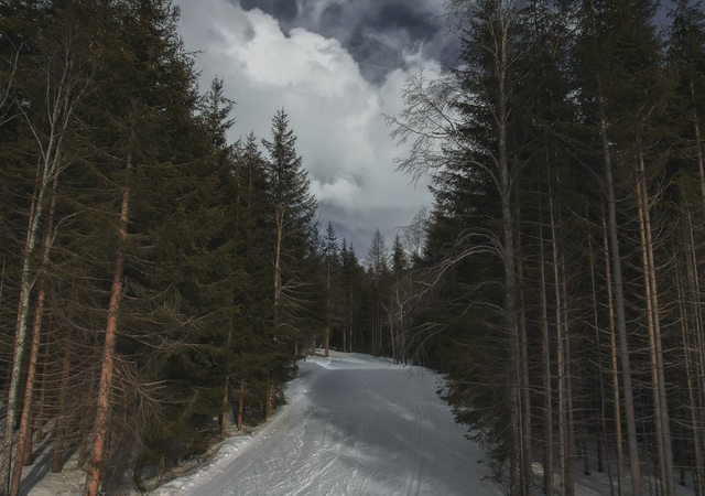 cross country ski trail