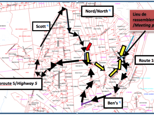 Guided Trail Walk, in Collaboration with Chelsea Trails
