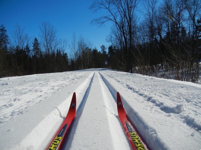 A10-The Skis' Perspective