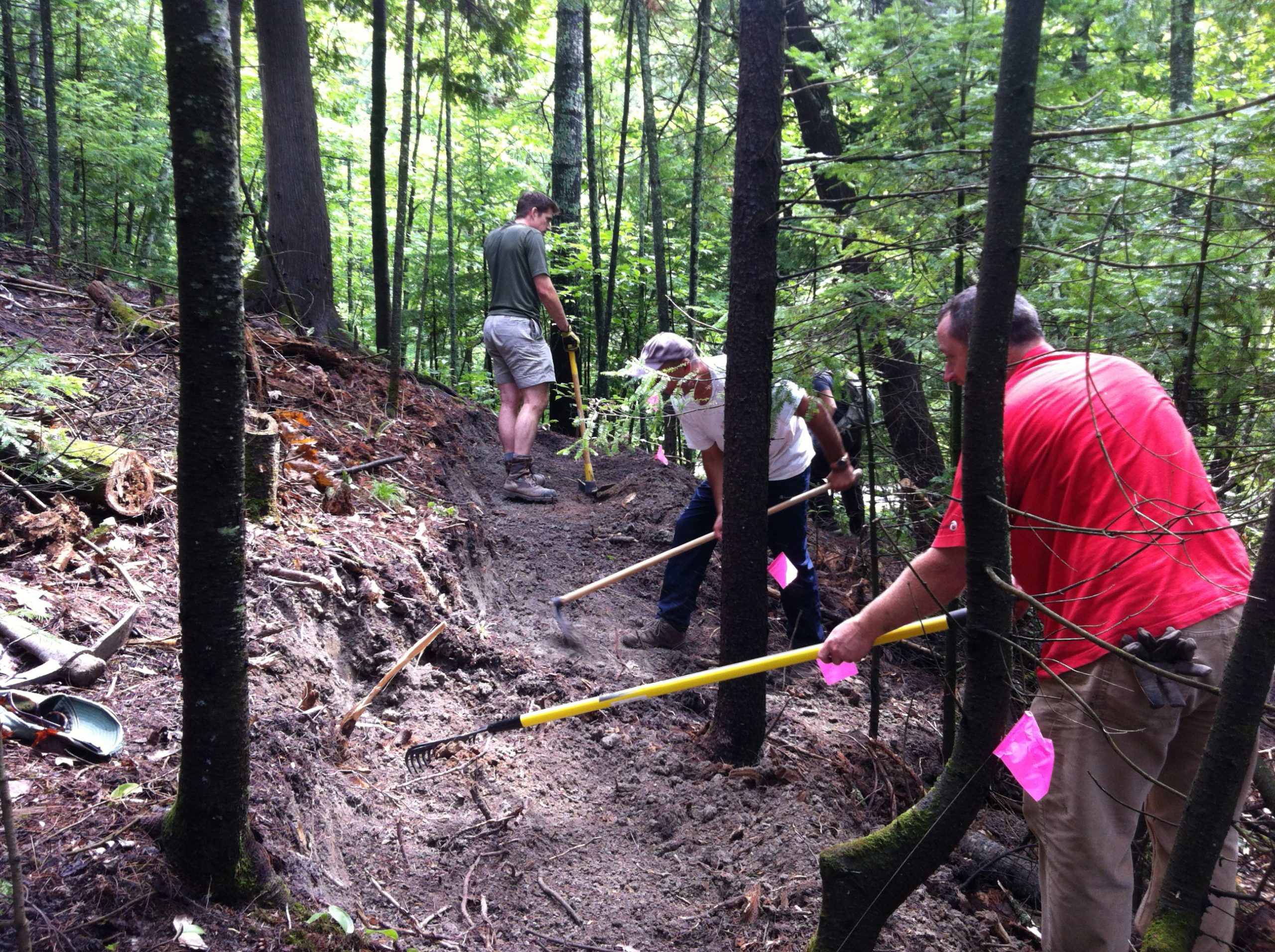 a group of volunteers in the woods ploughing by hand