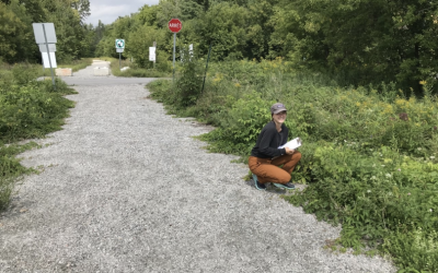 Chelsea Community Trail: Noxious and Invasive Plant Survey