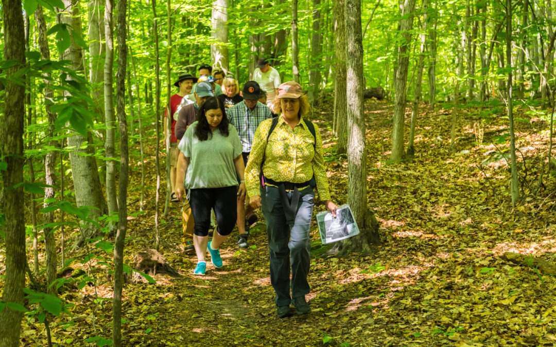 Hike 1: Terrace du Domaine- Secteur 2