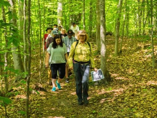 Hike 1: Terrace du Domaine- Secteur 2