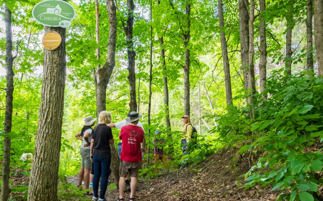 13 juin 2026 : Randonnée – La biodiversité des forêts et des zones humides